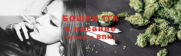 2c-b Бородино