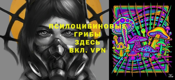 2c-b Бородино