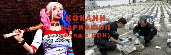 2c-b Бородино