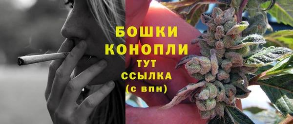 Альфа ПВП Бугульма