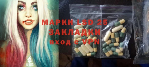 2c-b Бородино