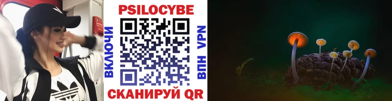 Галлюциногенные грибы MAGIC MUSHROOMS  что такое   Кологрив 